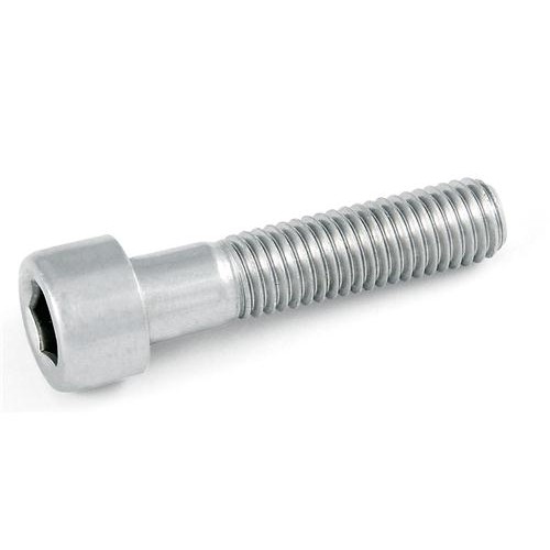 Vite testa cil. m5x10