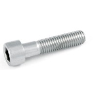 Vite testa cil. m6x25